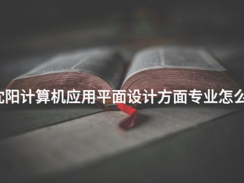 沈阳计算机应用平面设计方面专业怎么样