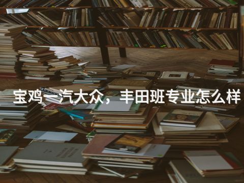 宝鸡一汽大众，丰田班专业怎么样