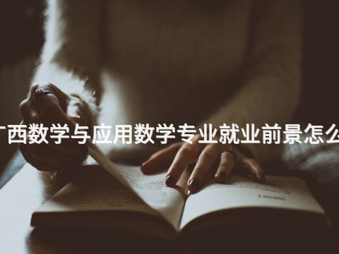 廣西數(shù)學與應用數(shù)學專業(yè)就業(yè)前景怎么樣