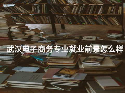 武汉电子商务专业就业前景怎么样