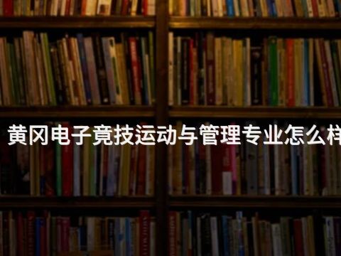 黄冈电子竟技运动与管理专业怎么样