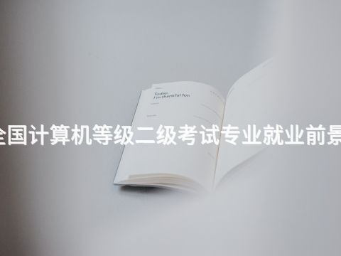 太原全国计算机等级二级考试专业就业前景怎么样