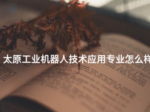 太原工业机器人技术应用专业怎么样(图1) 太原工业机器人技术应用专业怎么样(图1)