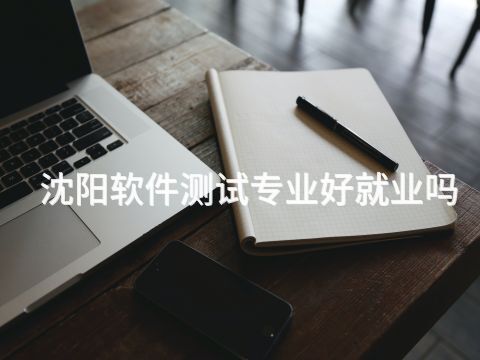 沈阳软件测试专业好就业吗