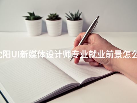 沈阳UI新媒体设计师专业就业前景怎么样