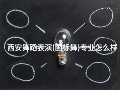 西安舞蹈表演(国标舞)专业怎么样