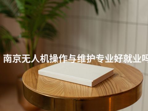 南京無人機操作與維護專業好就業嗎