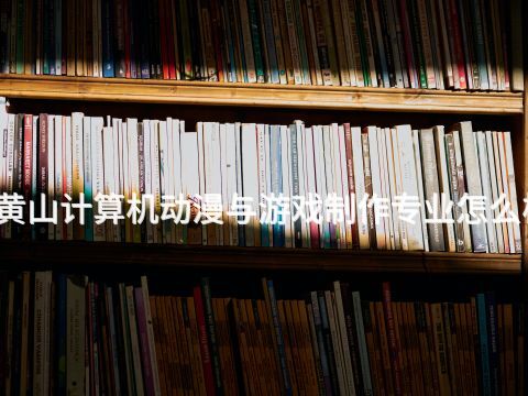 黄山计算机动漫与游戏制作专业怎么样