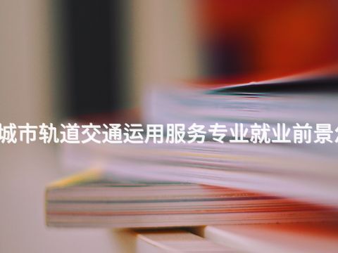沈阳城市轨道交通运用服务专业就业前景怎么样(图1) 沈阳城市轨道交通运用服务专业就业前景怎么样(图1)