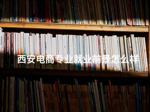 西安电商专业就业前景怎么样