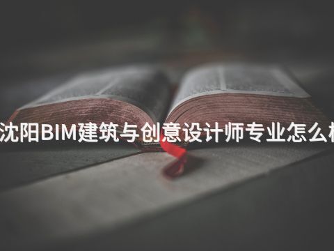 沈阳BIM建筑与创意设计师专业怎么样(图1) 沈阳BIM建筑与创意设计师专业怎么样(图1)
