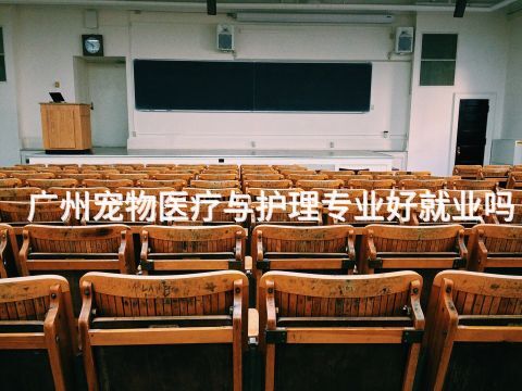广州宠物医疗与护理专业好就业吗