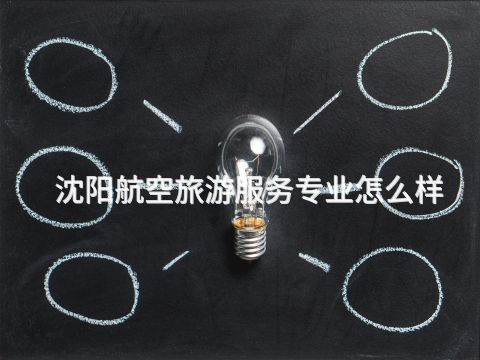 沈阳航空旅游服务专业怎么样
