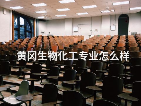 黄冈生物化工专业怎么样