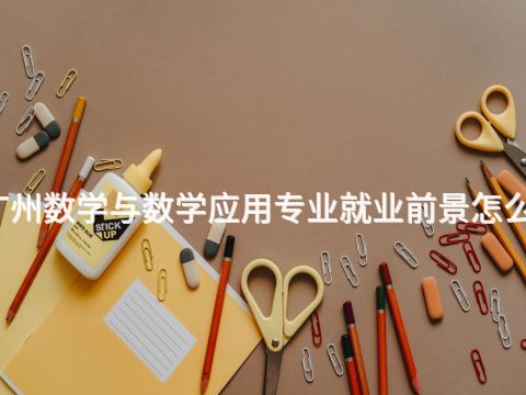 广州数学与数学应用专业就业前景怎么样