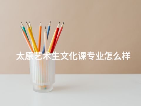 太原艺术生文化课专业怎么样