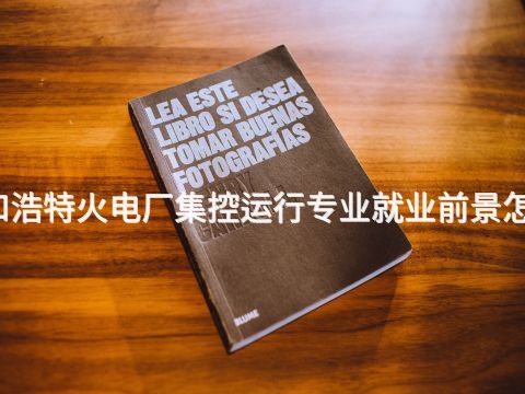 呼和浩特火电厂集控运行专业就业前景怎么样