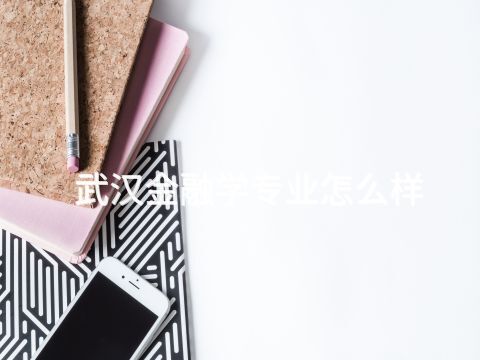 武漢金融學專業(yè)怎么樣