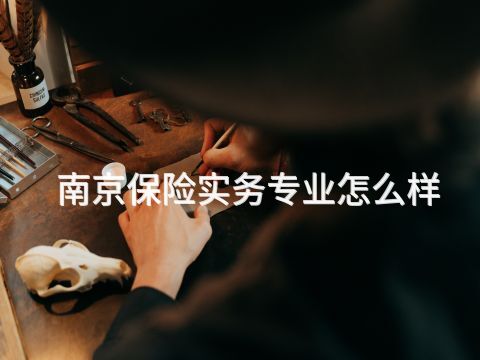 南京保險實務專業怎么樣