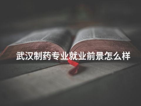 武漢制藥專業就業前景怎么樣(圖1) 武漢制藥專業就業前景怎么樣(圖1)