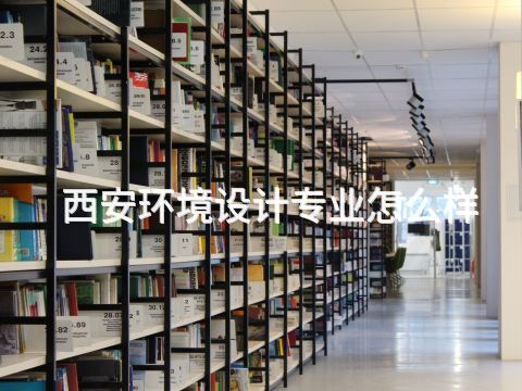西安环境设计专业怎么样