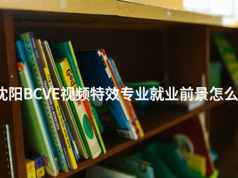沈阳BCVE视频特效专业就业前景怎么样