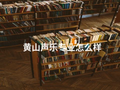 黄山声乐专业怎么样