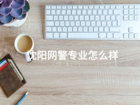 沈阳网警专业怎么样