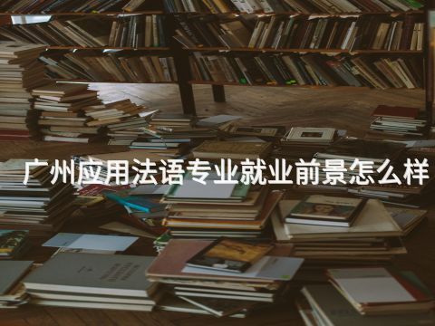 广州应用法语专业就业前景怎么样(图1) 广州应用法语专业就业前景怎么样(图1)