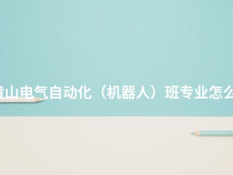 黄山电气自动化（机器人）班专业怎么样