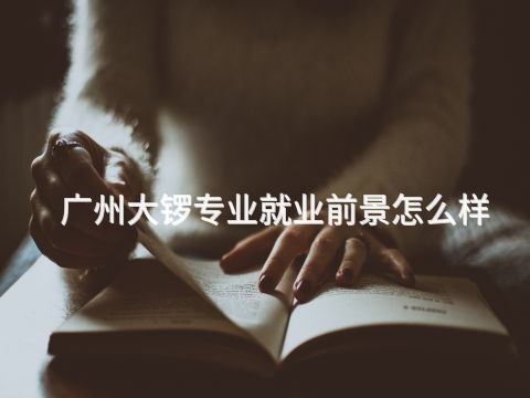 广州大锣专业就业前景怎么样(图1) 广州大锣专业就业前景怎么样(图1)