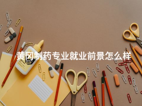 黃岡制藥專業(yè)就業(yè)前景怎么樣(圖1) 黃岡制藥專業(yè)就業(yè)前景怎么樣(圖1)