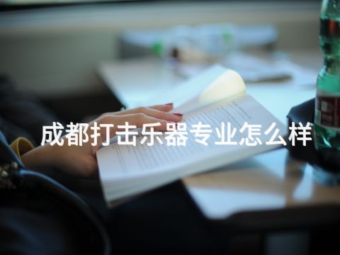 成都打擊樂器專業怎么樣(圖1) 成都打擊樂器專業怎么樣(圖1)
