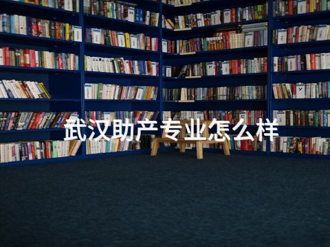 武汉助产专业怎么样(图1) 武汉助产专业怎么样(图1)
