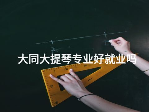 大同大提琴专业好就业吗
