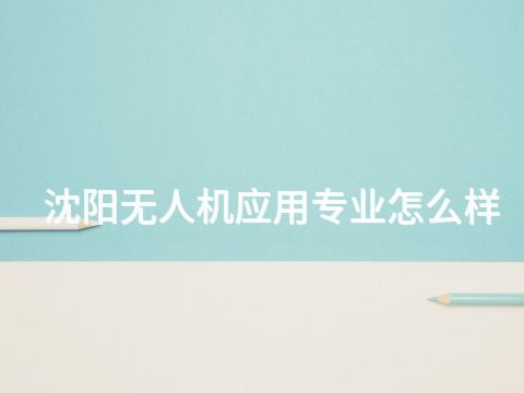沈阳无人机应用专业怎么样(图1) 沈阳无人机应用专业怎么样(图1)