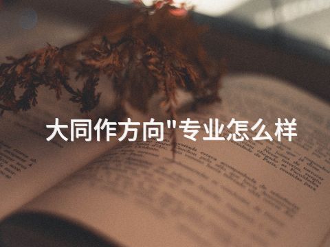 大同作方向"专业怎么样