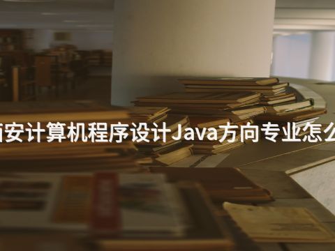 西安计算机程序设计Java方向专业怎么样