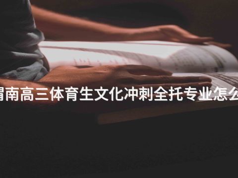 渭南高三体育生文化冲刺全托专业怎么样