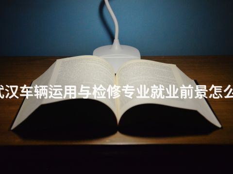 武汉车辆运用与检修专业就业前景怎么样(图1)
