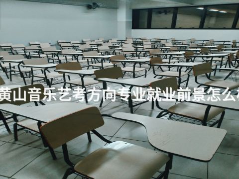 黄山音乐艺考方向专业就业前景怎么样