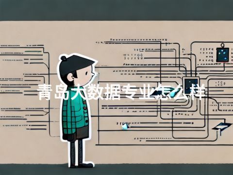 青岛大数据专业怎么样