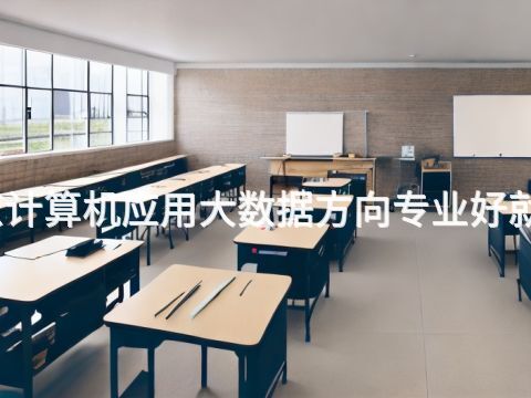 北京计算机应用大数据方向专业好就业吗
