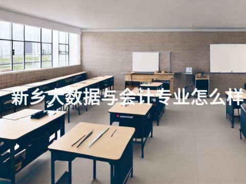 新乡大数据与会计专业怎么样