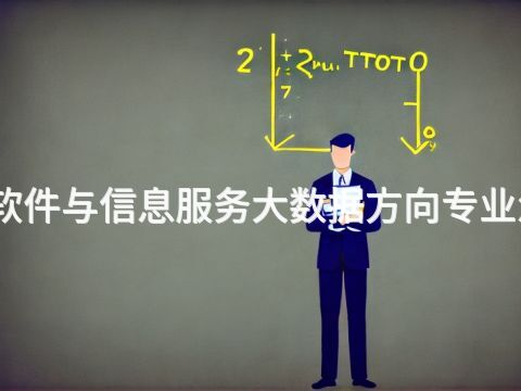 邢台软件与信息服务大数据方向专业怎么样