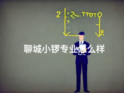 聊城小锣专业怎么样