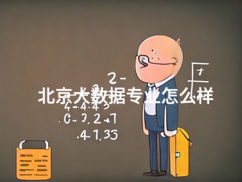 北京大数据专业怎么样