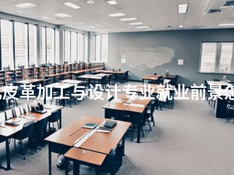 河北皮革加工与设计专业就业前景怎么样(图1) 河北皮革加工与设计专业就业前景怎么样(图1)