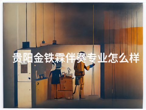 贵阳金铁霖伴奏专业怎么样