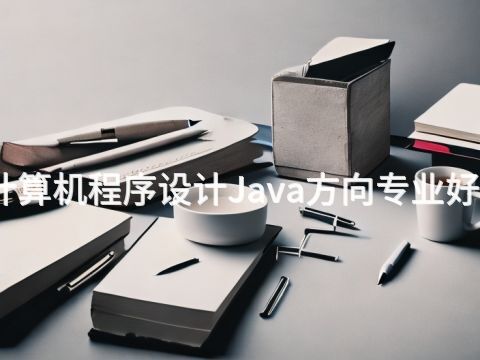 聊城计算机程序设计Java方向专业好就业吗